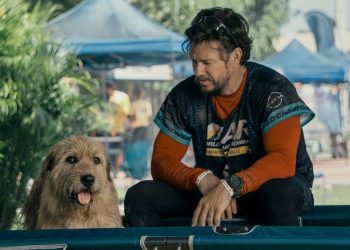 Arthur The King – Anjing Penyelamat yang Mampu Menghadapi Segala Rintangan