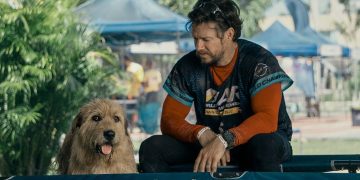 Arthur The King – Anjing Penyelamat yang Mampu Menghadapi Segala Rintangan